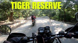 Uttarakhand's Secret Tiger Reserve Adventure You Won't Believe!