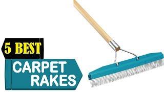 5 Best Carpet Rakes 2024 | Best Carpet Rakes Reviews | Top 5 Carpet Rakes