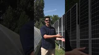 Agrivoltaics | Bifacial Solar Fence