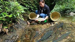 30 Days: Farm care and development | My Dream Farm - Phùng Thị Chài