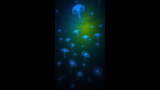 Dark Ocean Life: Mysterious Creatures at the Deepest Depths #Quantum #shorts