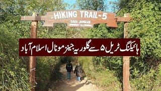 Hiking Trail 5 to Gloria Jean's Coffees Monal Islamabad