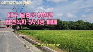 대구 달성군 하빈면 자연녹지 토지 매매 593평 분양길 대구 농지