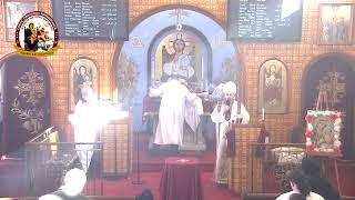 Virgin Mary & St George Church, Holy Liturgy Friday 12/13/24 القداس الإلهي