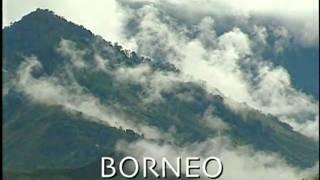 ONE MINUTE GUIDE....BORNEO