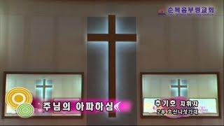 주님의 아파하심_추기호 지휘자 (2부 호산나성가대)_2020.3.15