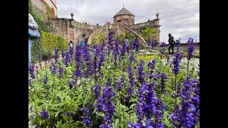 ALLURING SOUND OF RAIN WHILE WALKING IN A HEAVY RAINFALL IN MARIENBERG FORTRESS WÜRZBURG