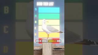 Are Seagulls Overpowered?