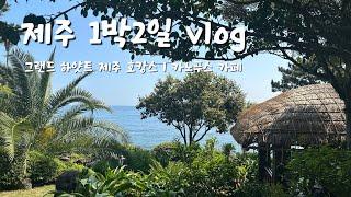 제주 여행 vlog ️ l 제주 1박2일 추천 숙소는 그랜드 하얏트 제주 l 카노푸스 카페