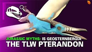 Geosternbergia, The Lost World Pterosaur? | JMyths