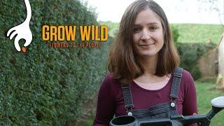 How to Sow a Wildflower Patch with Hannah Grows