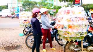 Một số loài cá cảnh rẻ và đẹp (some beautiful ornamental fishes at low price)