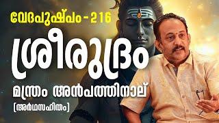 ശ്രീരുദ്രം മന്ത്രം അൻപത്തിനാല് | Vedapushpam വേദപുഷ്പം ഭാഗം 216 | ആചാര്യശ്രീ രാജേഷ്‌