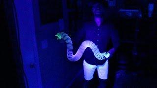 Psychedelic Slinky Tricks (Slinky Manipulation)