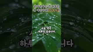 살아내는 것, 그것만으로도 수행입니다 아침수행 부처님말씀|마음챙김|불교감성|불교명상|마음치유|불교이야기|불교오디오북