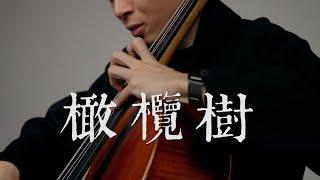 《橄欖樹 / Olive Tree》齊豫 - Cello cover 大提琴版本 -『cover by YoYo Cello』【華語懷舊歌曲系列】