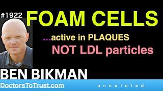 BEN BIKMAN h1 | FOAM CELLS…active in PLAQUES NOT LDL particles