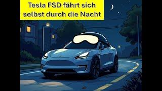 Tesla FSD fährt im Dunkeln ohne Radar und LiDAR 8 Meilen eigenständig nach Hause!