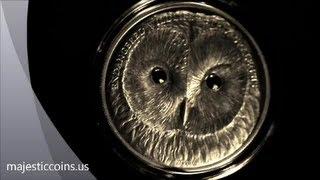 2011 Ural Owl Wildlife Swarovski 500 Togrog Mongolia Majestic Coins LTD