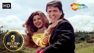 Ek Naya Aasman | Chhote Sarkar (1996) | Govinda | Shilpa Shetty | Alka Yagnik |90's Super Hit Gaane