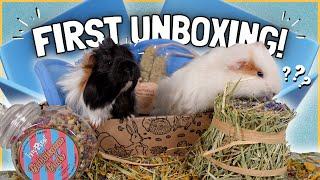 New Guinea Pig's First Unboxing! 