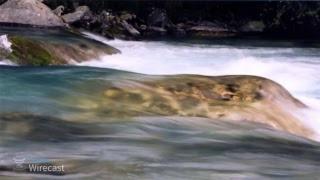 PeaceMastersProds Live Stream