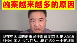 翟山鹰：为什么中国恶劣的刑事案件频繁发生