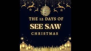 12 Days of See Saw Christmas - Day 4 - Naqi Rizvi