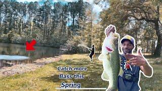 Bankfishing For Multi Species|Paddletail Swimbaits For Spring Bass| I Put My Dad On His PB