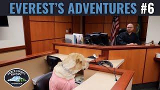 Everest Gets a Verdict from the Judge!