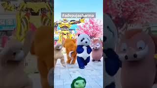 Tukur Tukur | Cute Bear Panda #shorts #reels #youtubeshorts #funny #panda  Tukur Tukur