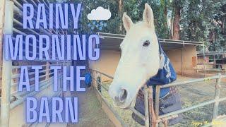 Rainy Morning Barn Vlog // Happy the Standie