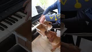 Ruby Plays Piano