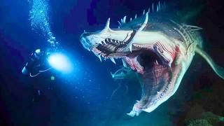 Mysterious Deep Sea Creatures That Got Caught On Camera & Shocked Everyone!