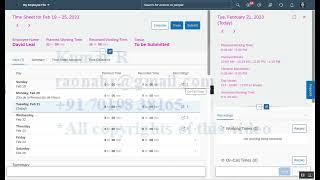 Time Sheet Valuation Method - Demo video which is edited from original video.