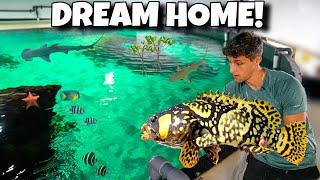 My EXOTIC FISH Get Their DREAM HOME!! *Fish Transfer*