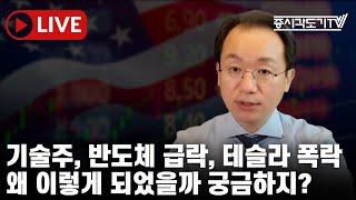 [미국마감] 기술주, 반도체 급락, 테슬라 폭락! 왜 이렇게 되었을까 궁금하지?