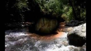 Hallazgo De Piedra Con La Imagen De La Virgen Maria