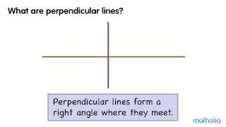 Perpendicular Lines