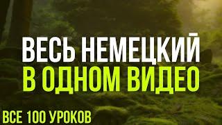 Весь Немецкий в одном видео. Все 100 уроков. Немецкие слова и фразы. Немецкий с нуля. Немецкий язык.