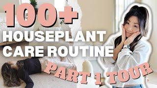 How I Care for 100+ Houseplants | Plant Chores | Houseplant Care Routine + Tips | VLOG