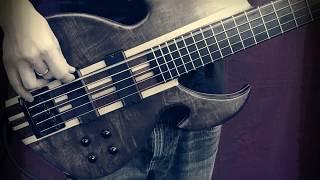 Manton Customs Titan 7 String guitar and Titan 5 String bass demo