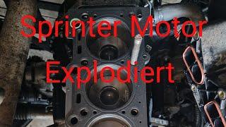 Sprinter Motor EXPLODIERT!!!!!!!!!!!!!!!!!!!!!! Warum wir NICHT auf der Abenteuer Allrad waren??????