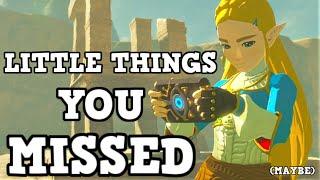 Things And Easter Eggs You Probably MISSED In Breath Of The Wild