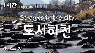 도시 하천의 물소리 1시간 재생 ASMR [Streams in the city]