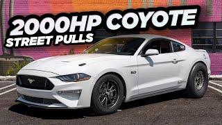 2000HP Coyote BEATS Lambo & GTR on the STREET! (FFRE Coyote Mustang Ridealong)