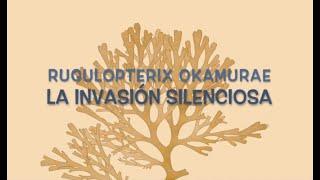 RUGULOPTERIX OKAMURAE: LA INVASIÓN SILENCIOSA