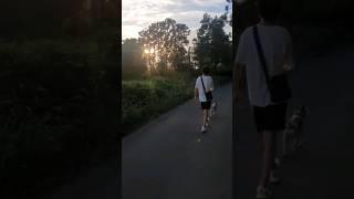 제주에서 산책하면 흔히 보는것 #shorts