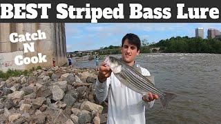 Best Lure For Striped Bass: How To Catch Striped Bass From Shore - Catch & Cook | SFSC