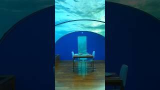 Underwater Restaurant in the Maldives! #maldives #luxury #shorts
